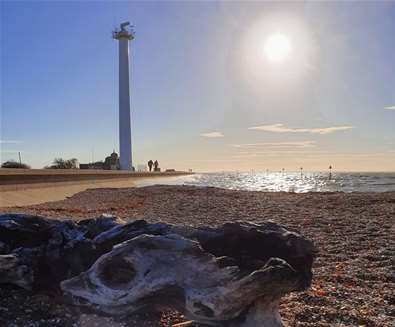 Landguard Point Felixstowe - Suffolk coast