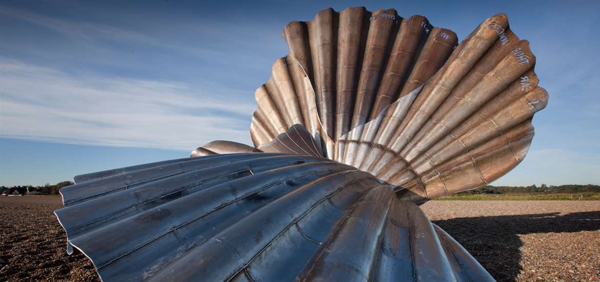 TTDA - Aldeburgh - Scallop