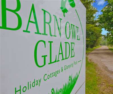 Barn Owl Glade