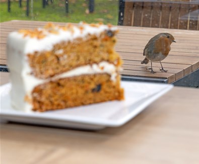 RSPB Minsmere Cafe