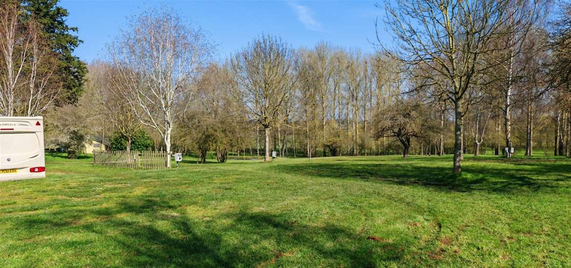 The Orchard Campsite