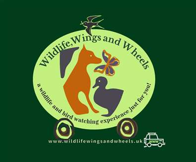Wildlife, Wings and Wheels
