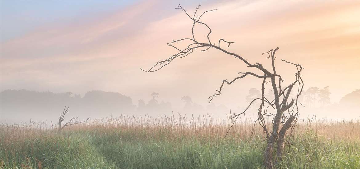 EXP - Gill Moon Photography - Ramsholt in the mist