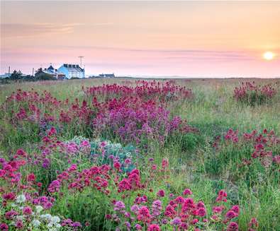 Gill Moon Photography, Workshop..