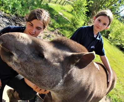Jimmy's Farm & Wildlife Park