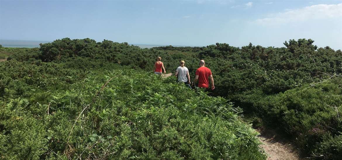 Main_Walking Breaks_Suffolk Coast heaths credit Andy Patton.jpg