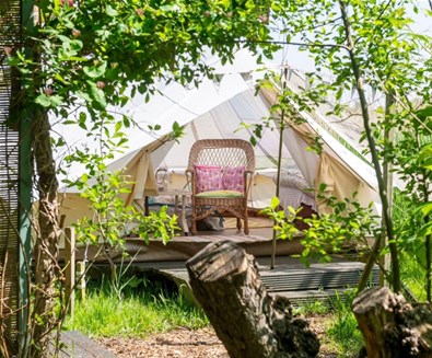 Woodbridge Glamping & Wellness