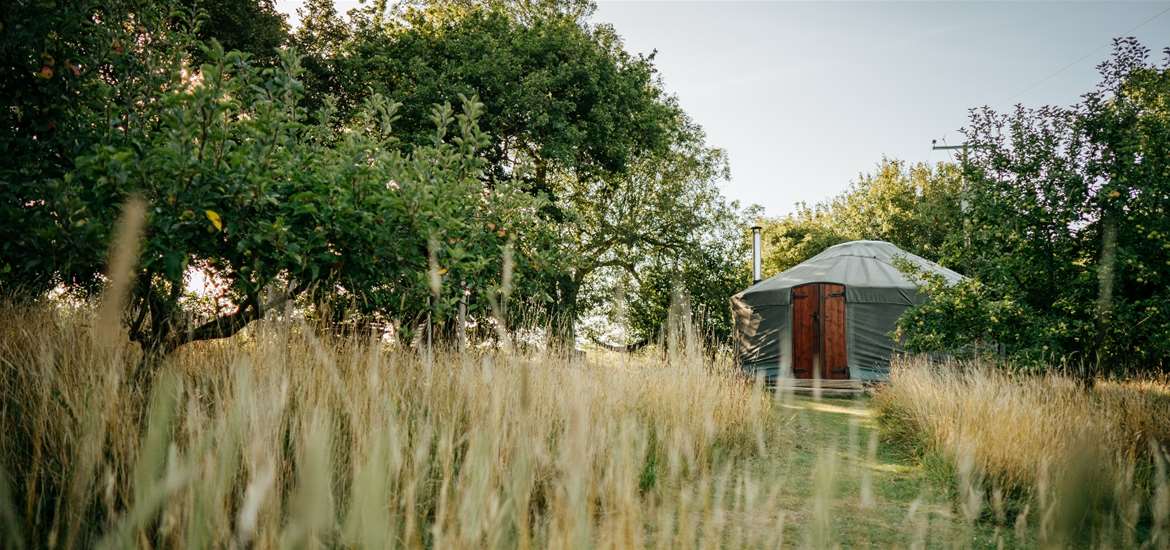 WTS - Suffolk Yurt Holidays - Yurt from the grass