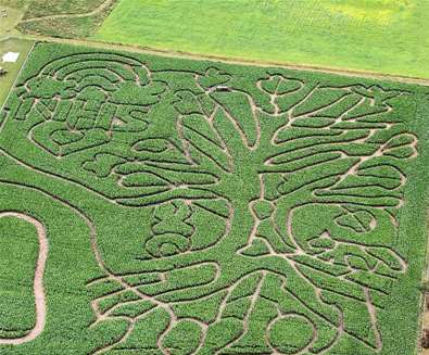TTD - Southwold Maize Maze TTD - Southwold Maize Maze