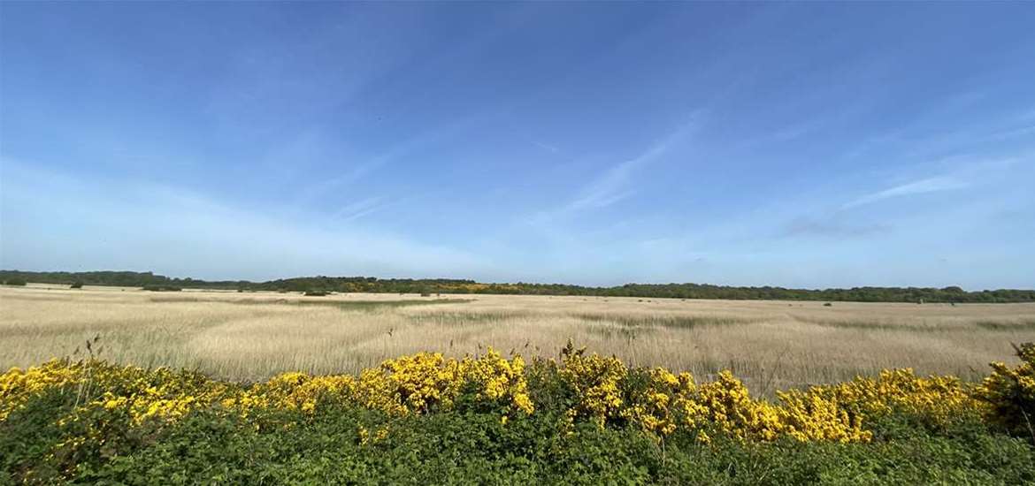 Spring Views across Minsmere. Credit George Hannan