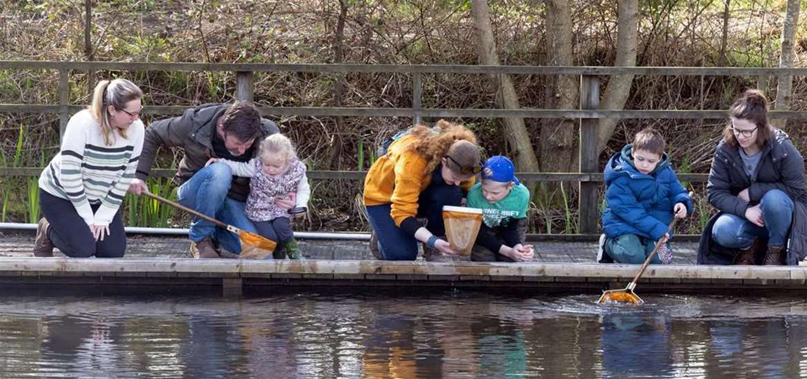 Families enjoying pond dipping. Credit Steve Everett