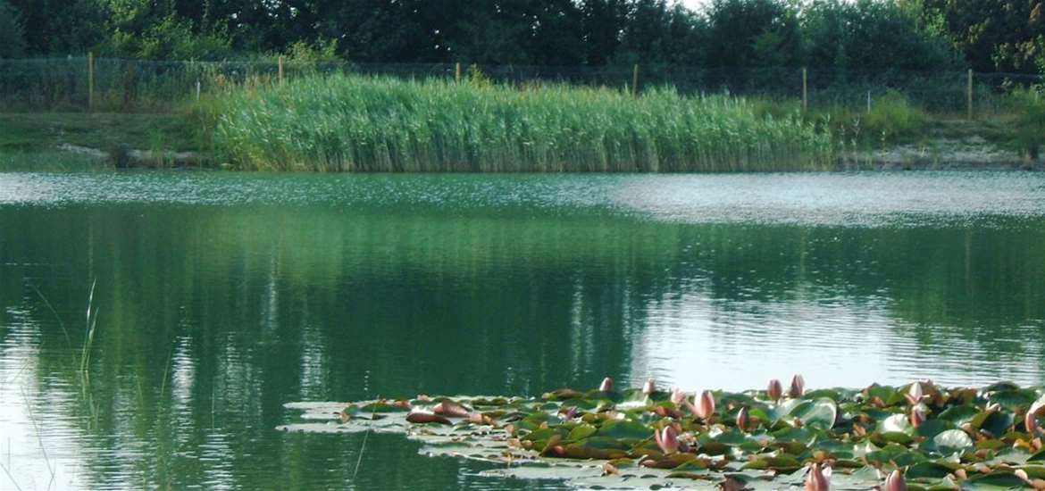 Mill Hill Farm Caravan & Camping Where to Stay Suffolk