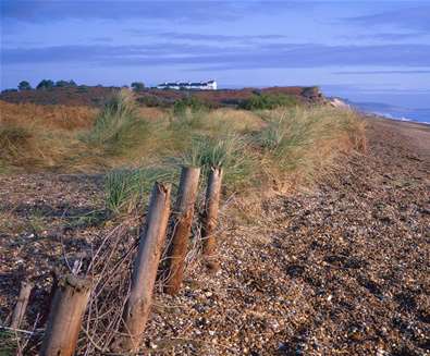 TTDA - Suffolk Coast & Heaths AONB - Minsmere