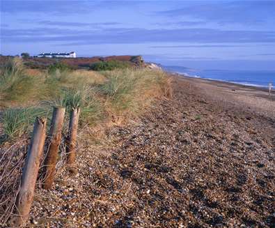 Dunwich Beach Dunwich Beach
