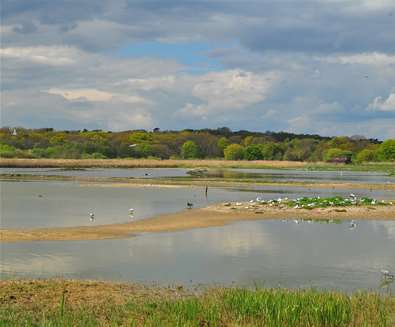 RSPB Minsmere