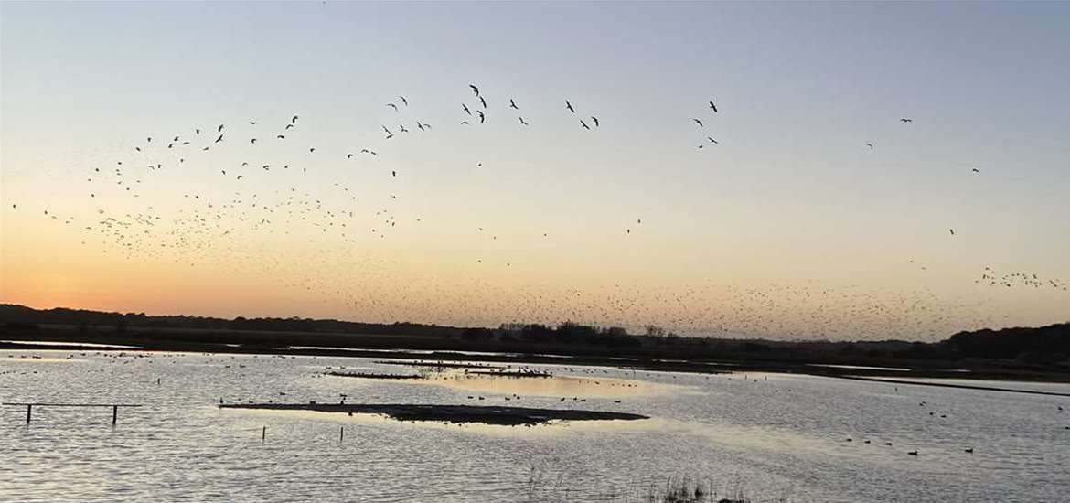 Autumn views of Scrape. Credit George Hannan