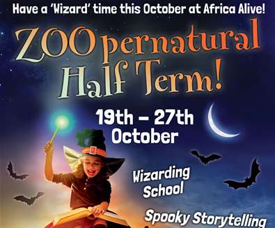 TTDE - Africa Alive - Zoopernatural half term TTDE - Africa Alive - Zoopernatural half term