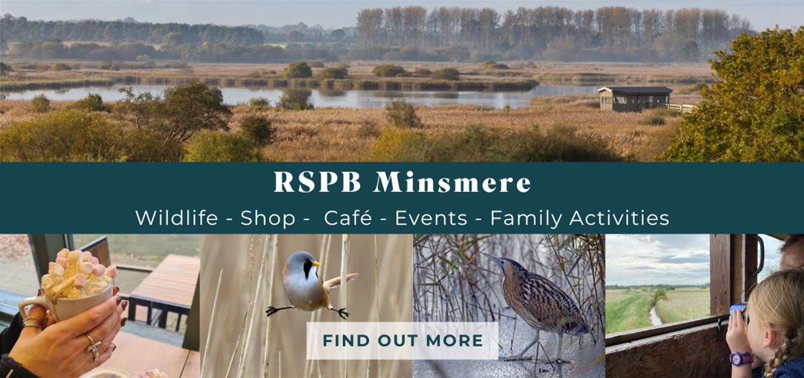 Banner Advertisement - RSPB October