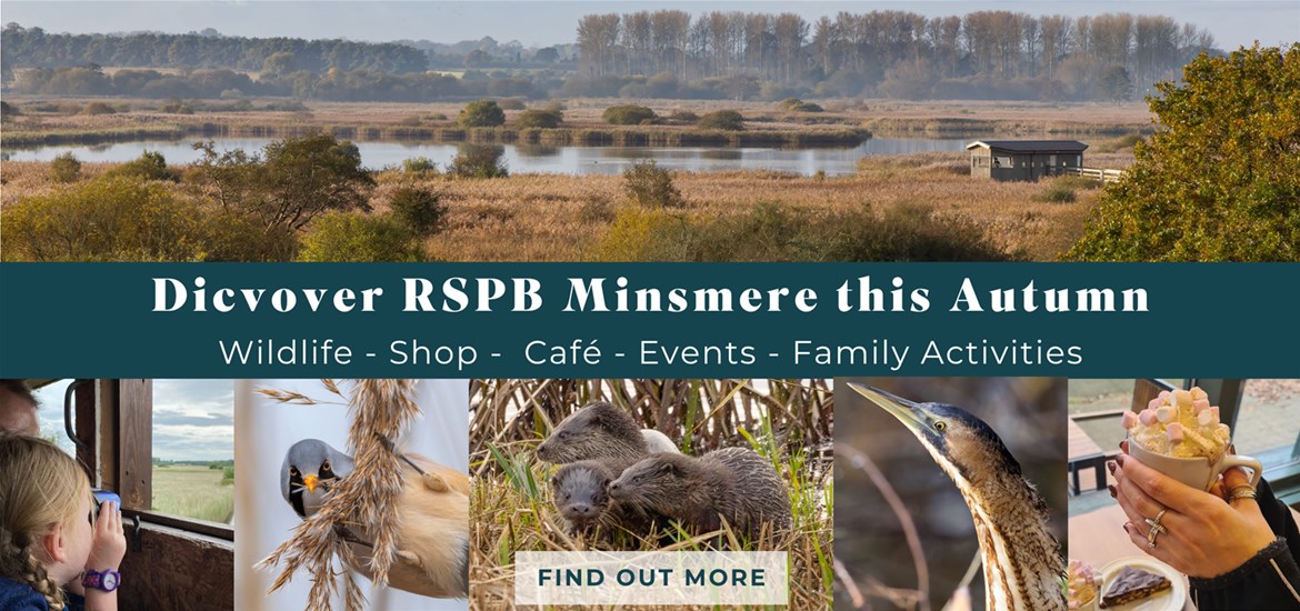 Banner Advertisement - RSPB Sept 2026