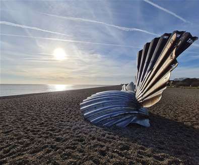 Maggi Hamblings Scallop - OnVenture Maggi Hamblings Scallop - OnVenture