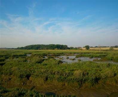 Orwell Estuary - Rachel Bell