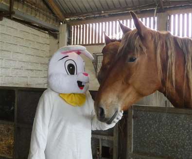 Easter Fun at the Suffolk Punch..