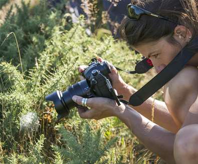 Full Day Landscape and Close-up..