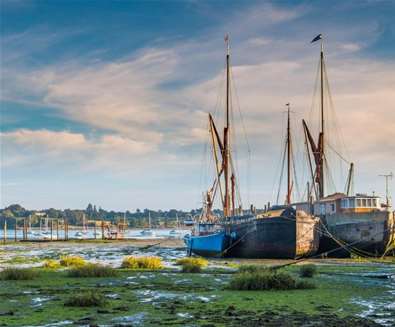 Experience the Power of Nature on the Shotley Peninsula