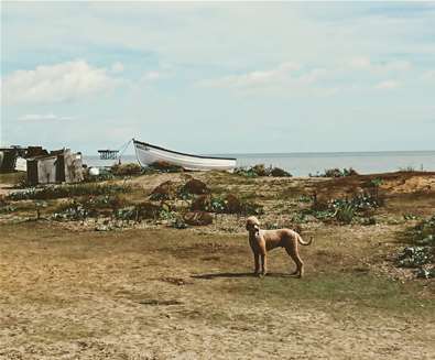 Sizewell Beach