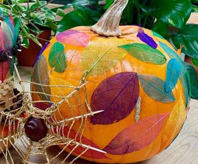 TTDE - Urban Jungle - Jazz up your jungle pumpkin TTDE - Urban Jungle - Jazz up your jungle pumpkin
