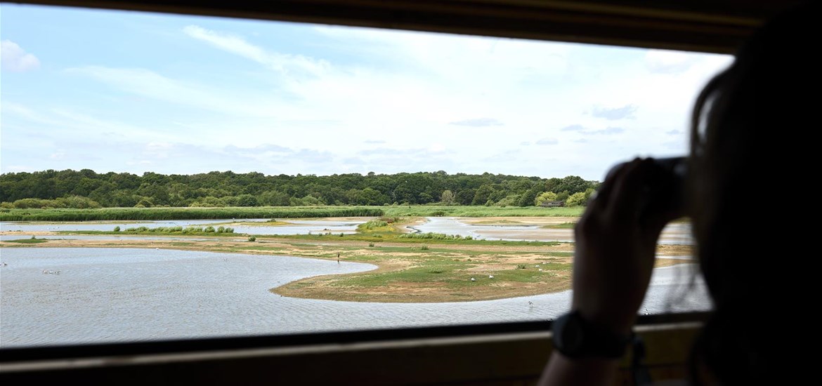 RSPB Minsmere - (c) Mischa Haller