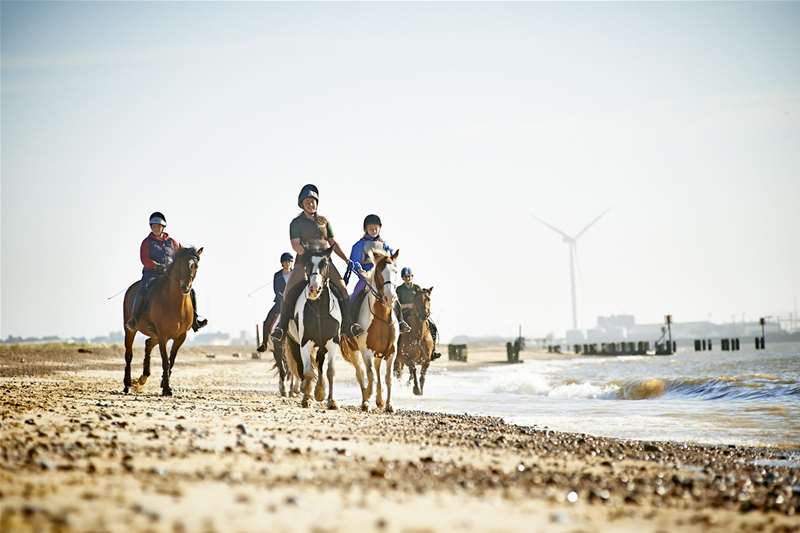 TTDA - Pakefield Riding School