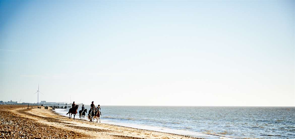 TTDA - Pakefield Riding School - horses on beach