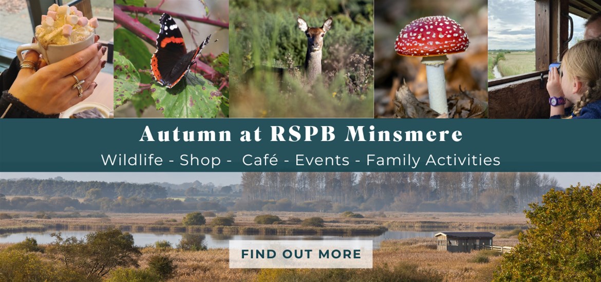 Banner Advertisement - RSPB Sept 2025