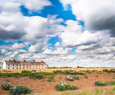 Shingle Street - (c) Gill Moon Shingle Street - (c) Gill Moon