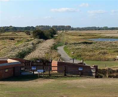 Discover Minsmere in Summer