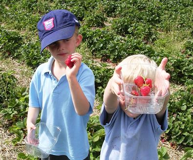 Pick Your Own on The Suffolk Coast