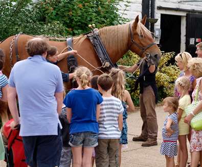 Suffolk Punch Trust