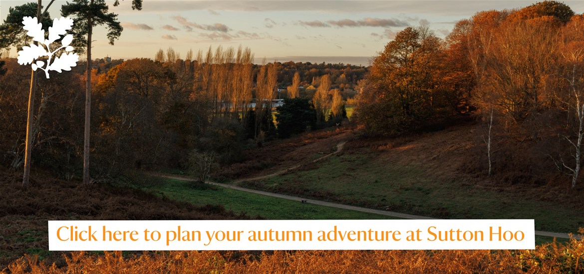 Banner advertisement - Sutton Hoo 2026