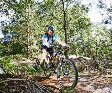 Cycling in Tunstall Forest