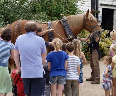 Suffolk Punch Trust Horse in Harness Suffolk Punch Trust Horse in Harness