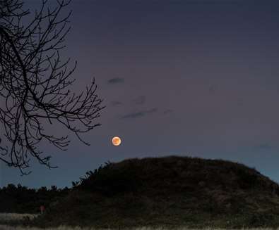 Twilight Royal Burial Ground To..