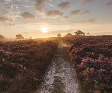 Dusk at Dunwich