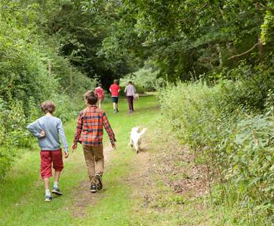 Children walking at Rendlesham - Emily Fae Photography