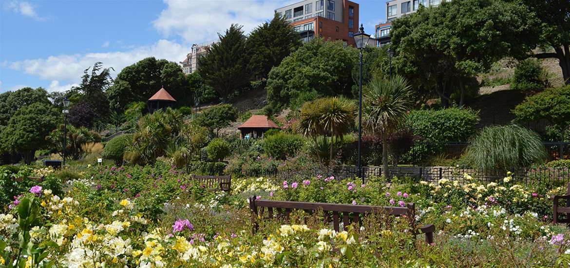 TTDA - Felixstowe Seafront Gardens - Bench in Flowers