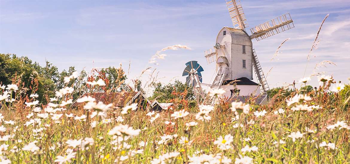 TTDA - Gill Moon Photography - Saxstead Mill