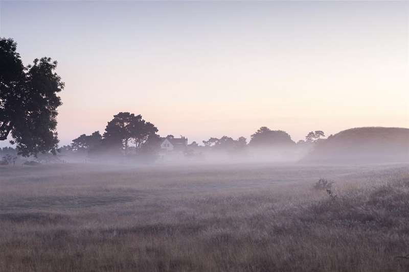 Sutton Hoo in Winter