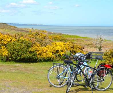 Cycle Breaks - Bikes next to gorse bushes and beach