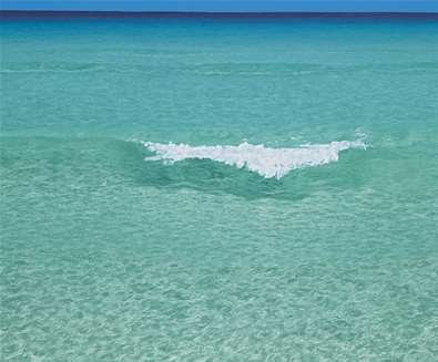 Seascapes and Woodlands