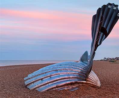 Towns and Villages - Orford - Scallop Towns and Villages - Orford - Scallop